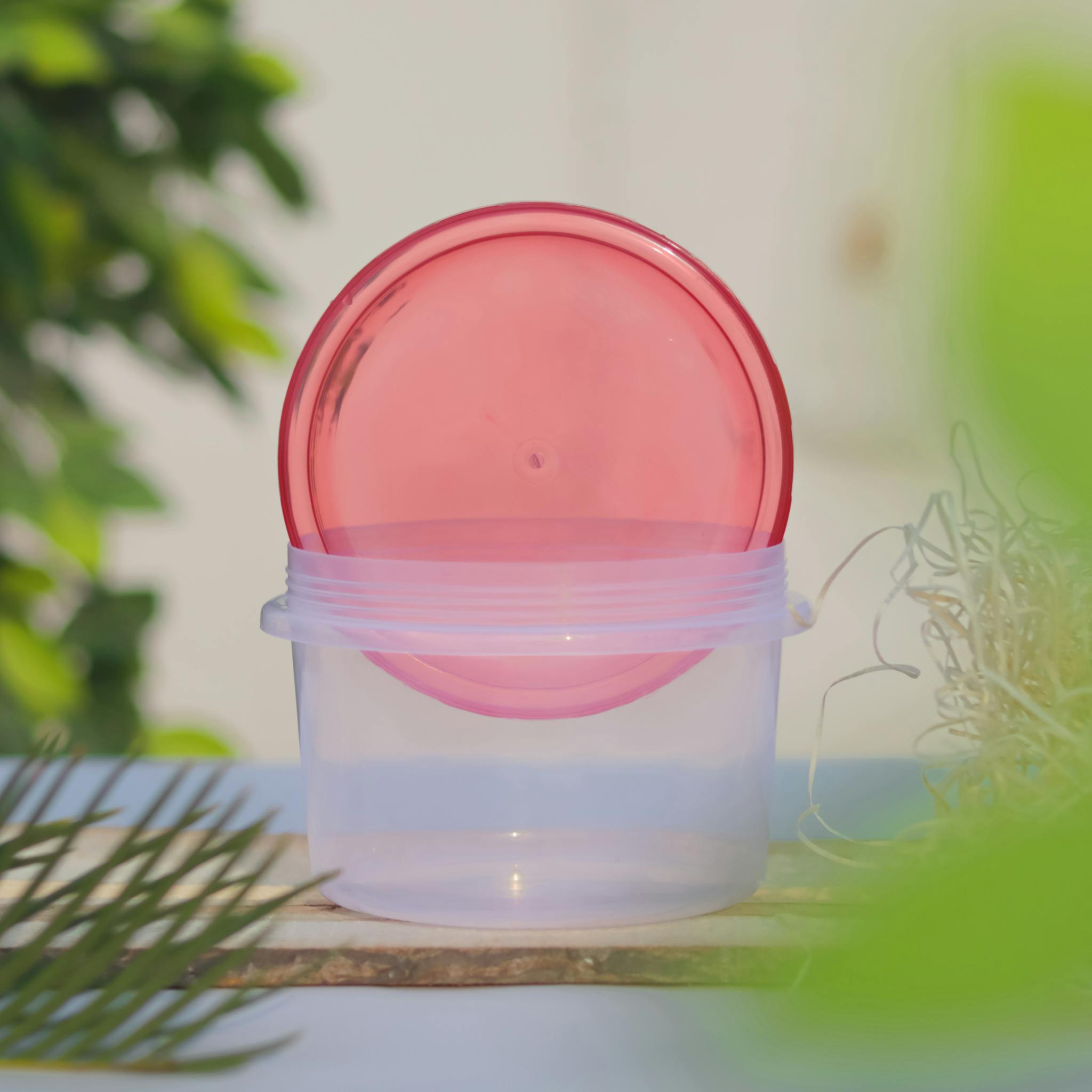 A transparent plastic container with a red lid, surrounded by greenery in a natural outdoor setting.